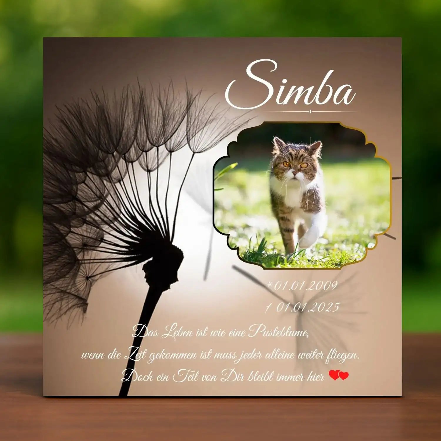 Katzengrabstein zur Trauer mit Pusteblume und Foto – persönliches Katzen Andenken an deine verstorbenes Seelentier