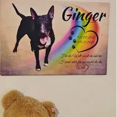 Leinwandbild mit Hundefoto, Regenbogenbrücke-Motiv und Namen Ginger, aufgestellt neben Teddybär