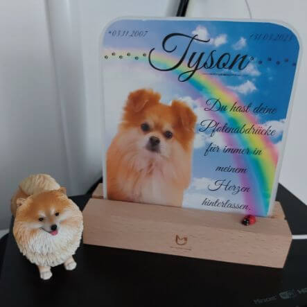 Leuchtbild mit Hundeporträt, Regenbogenbrücke,  Tiernamen, Trauerzitat und Daten. Tischlampe mit Bild vom Hund steht auf einem Tisch und daneben eine Hundekeramik.