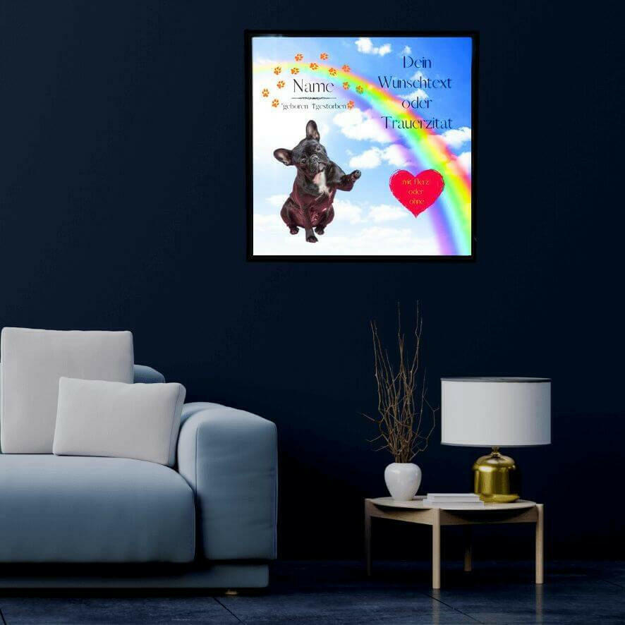 Leuchtendes Bild mit einem Hund, Text und Regenbogen an einer dunklen Wand in einem Zimmer.