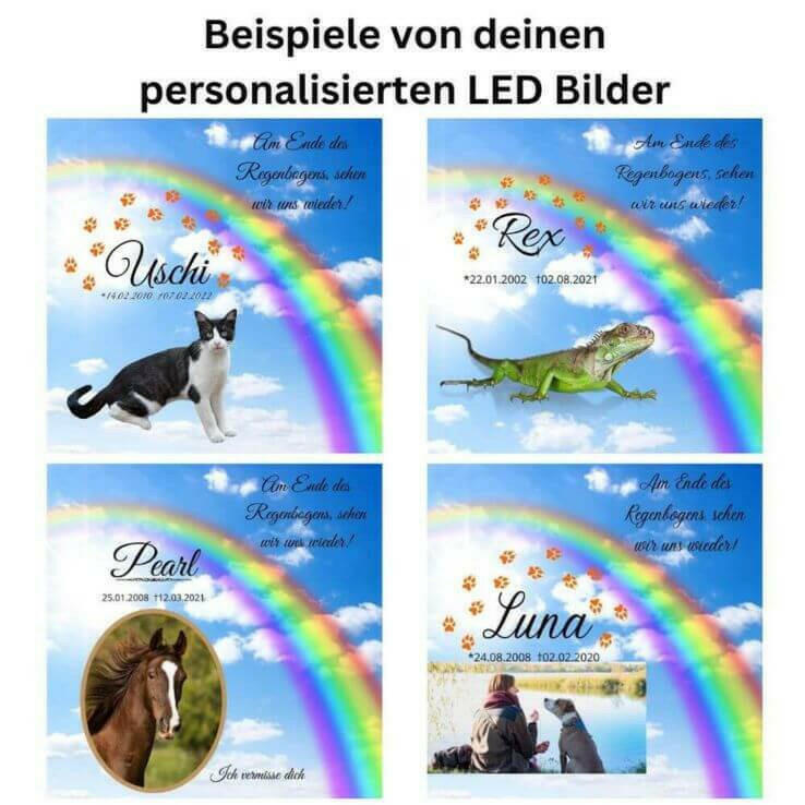 Beispiele von Leuchtbilder mit Haustiere, Text und Regenbogen.