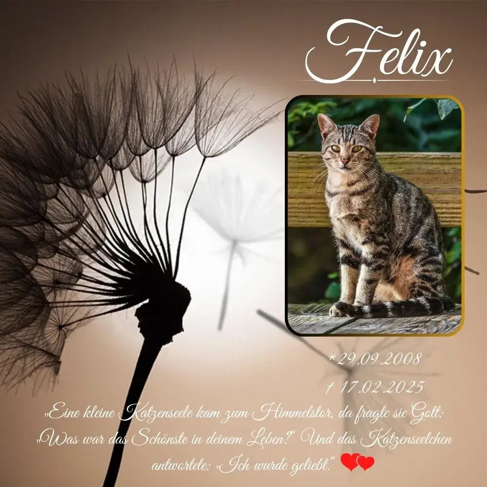 Tiergrabstein mit Pusteblume mit Katzenfoto und Name –Gedenktafel Erinnerung an geliebte Katze für Garten oder Tierfriedhof.