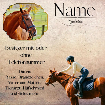 Personalisiertes Boxenschild für Pferd – wetterfestes Stallschild aus Alu-Dibond mit Foto, Namen und Besitzerangaben an rustikaler Wand