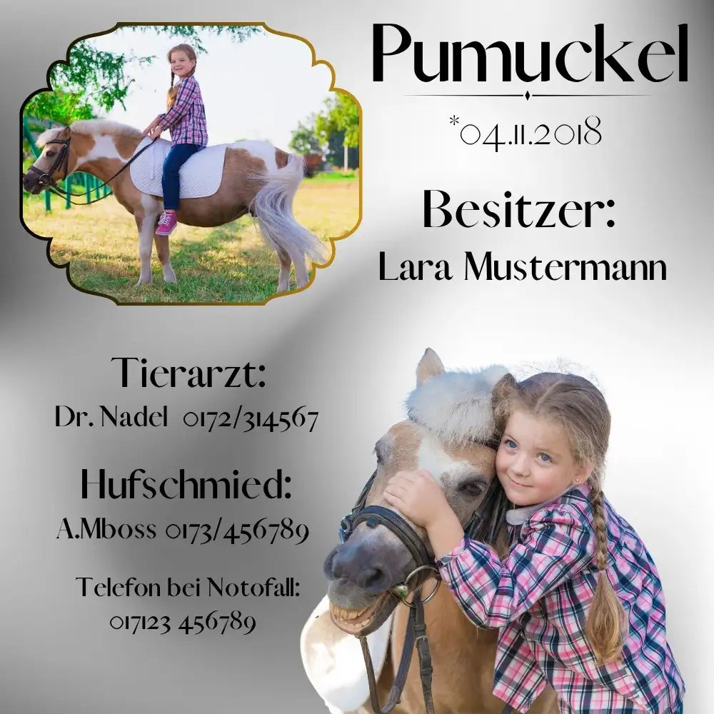 Stallschild Pony in Metall Optik mit zwei Fotos, Tierarzt, Hufschmied und Notfall Kontakt