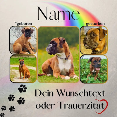 Gedenktafel für Hunde mit mehreren Hundebildern aus Alu-Dibond, gestaltet als personalisierter Tiergrabstein mit Platz für Name, Daten und ein Trauerzitat