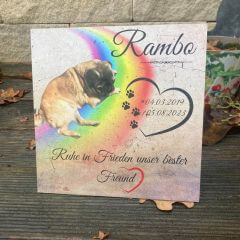 Personalisierter Hundegrabstein auf einem Hundegrab. Auf der Gedenktafel ist ein Herz mit Hundepfoten, der Name und ein persönlicher Wunschtext.