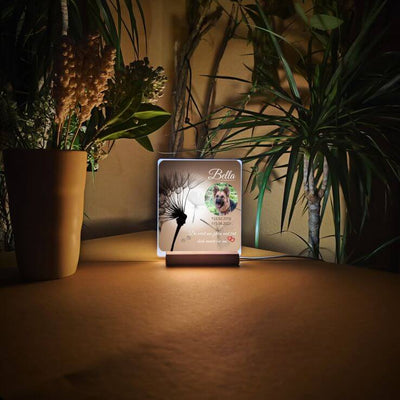 Leuchtende Fotolampe vom Schäferhund mit Pusteblume, Tierpfoten und Herzen auf einem Tisch mit Pflanzen.