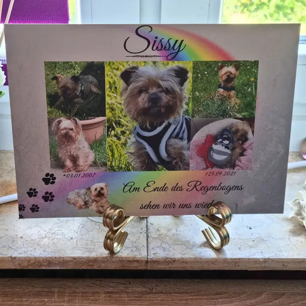 Tiergrabstein mit Fotocollage für Hund Sissy – personalisiertes Andenken mit Regenbogenmotiv