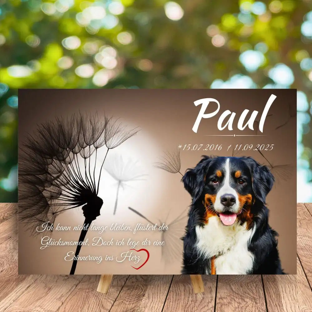 Tiergrabstein für Hund mit Pusteblume auf einem Tisch – personalisiertes Andenken mit Hundefoto und Namen auf braunem Hintergrund aus Alu-Dibond
