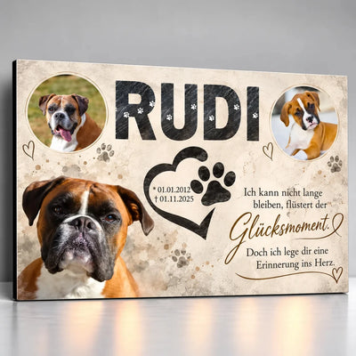 Personalisierter Tiergrabstein aus Alu-Dibond für einen verstorbenen Boxer mit drei Fotos, Namen in Schieferoptik, Pfotenherz mit Lebensdaten und Gedenkspruch
