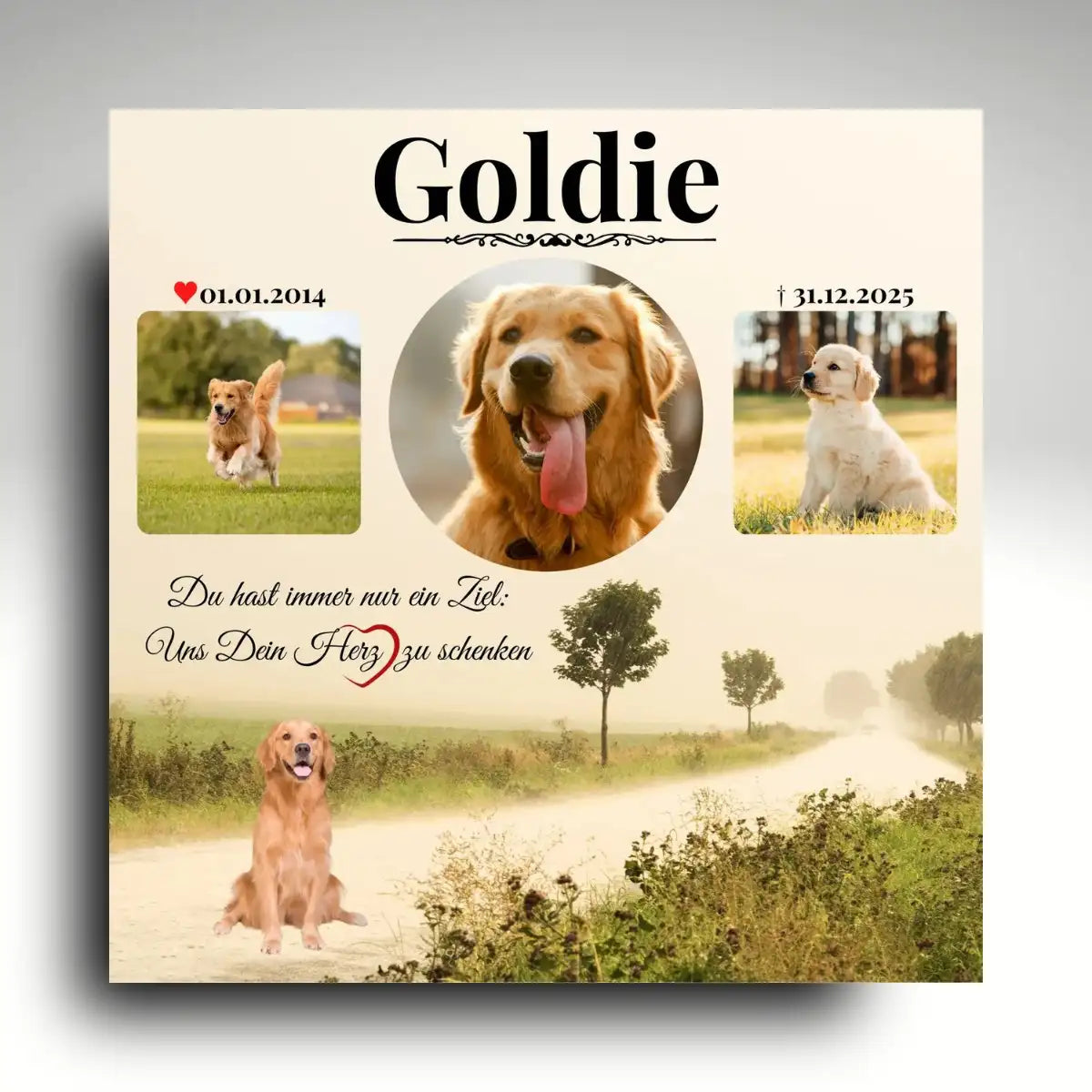 Tiergrabstein Hund mit Golden Retriever Fotocollage, personalisierte Grabplatte mit drei Hundebildern, Namen und Lebensdaten