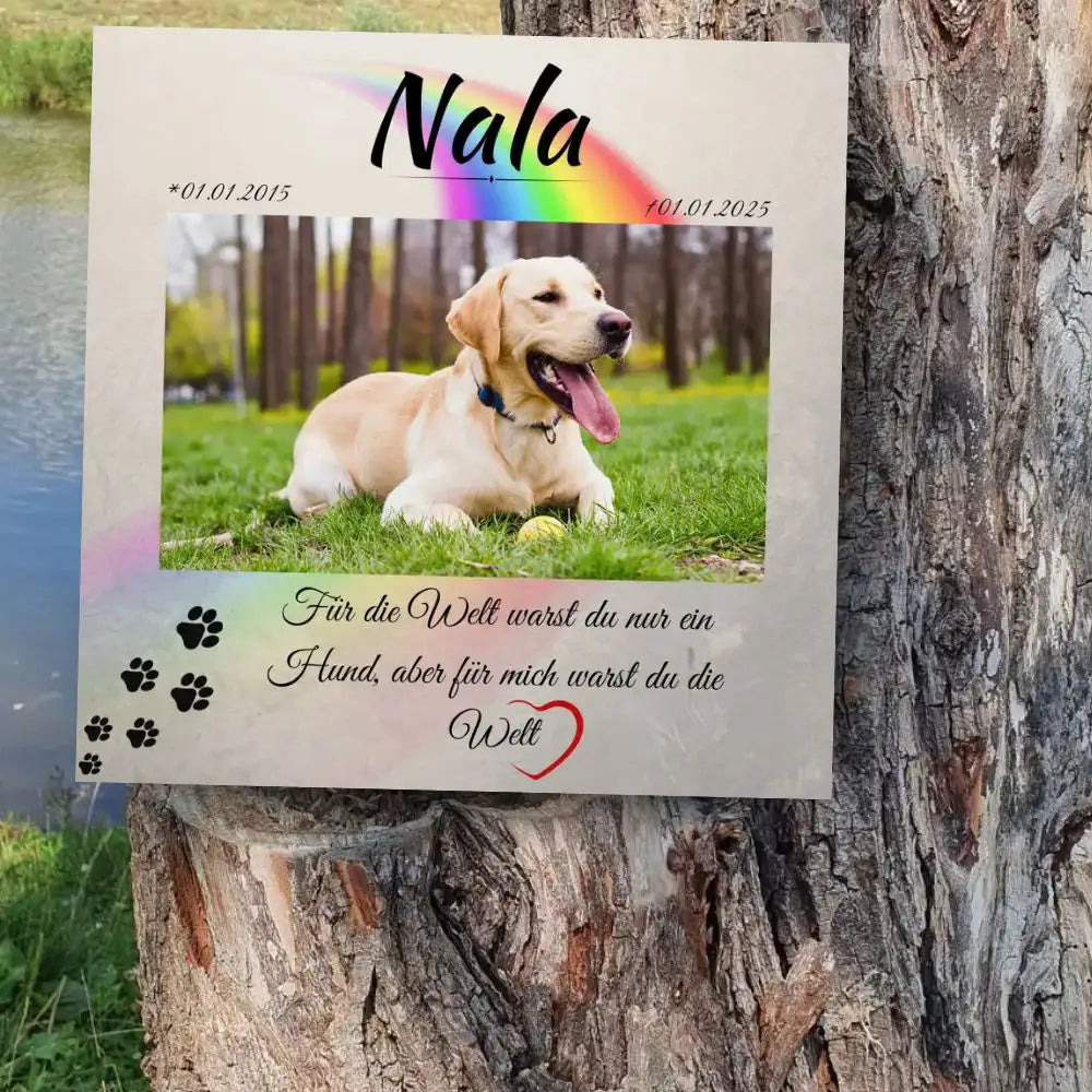 Tiergrabstein für Hund mit Portrait im Außenbereich am Hundegrab