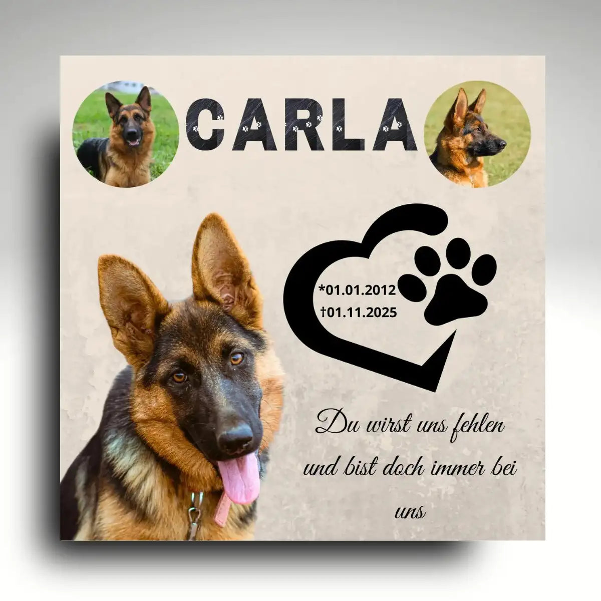 Tiergrabstein Hund mit Schäferhund Portrait und Pfotenherz, Grabplatte mit Namen und Lebensdaten als Erinnerung an einen Seelenhund