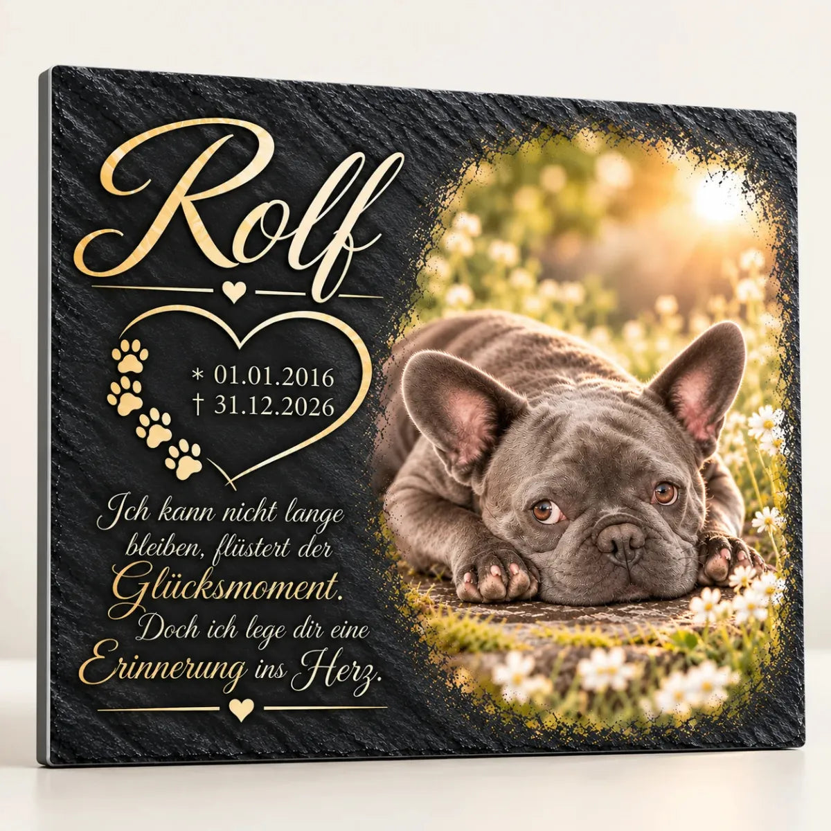 Tiergrabstein in Schiefer-Optik mit Foto einer liegenden Französischen Bulldogge, Name, Lebensdaten und Trauerspruch, personalisiert aus Alu-Dibond