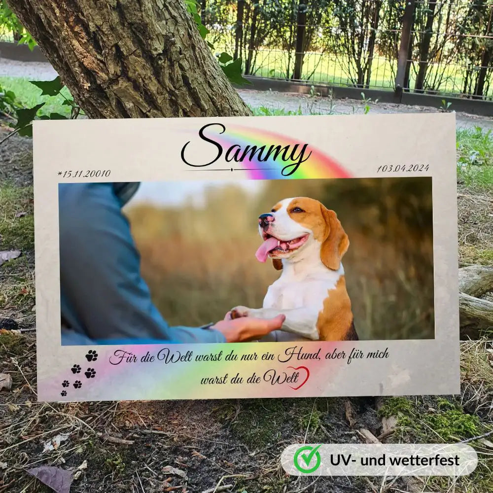 Tiergrabstein mit Hundeportait und persönlichem Abschiedsmoment zwischen Mensch und Hund