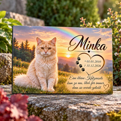Tiergrabstein für Katze mit Foto und Pfotenherz, Regenbogen bei Sonnenuntergang, auf Natursteinmauer im Garten
