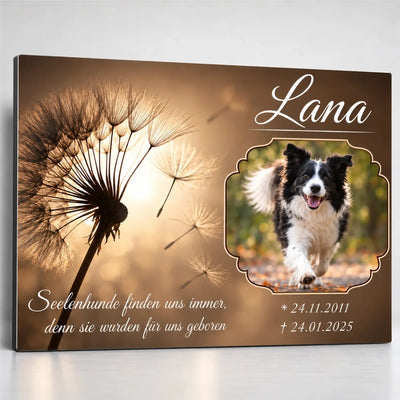 Tiergrabstein mit Pusteblume aus Alu-Dibond, Foto eines rennenden Hundes im Zierrahmen, Name, Daten und Trauerspruch