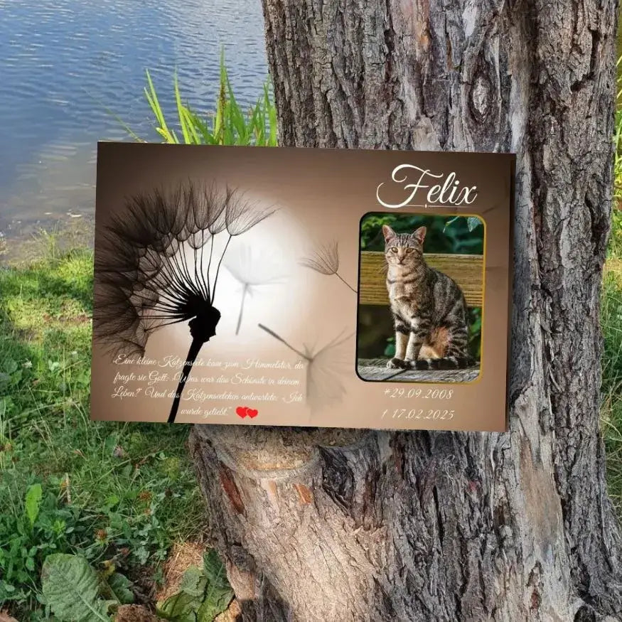 Tiergrabstein mit Pusteblume und Katzenfoto – Gedenktafel aus Alu-Dibond am Baum
