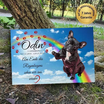 Tiergrabstein mit Regenbogenbrücke und Foto – Gedenktafel mit Spruch "Am Ende des Regenbogens sehen wir uns wieder"