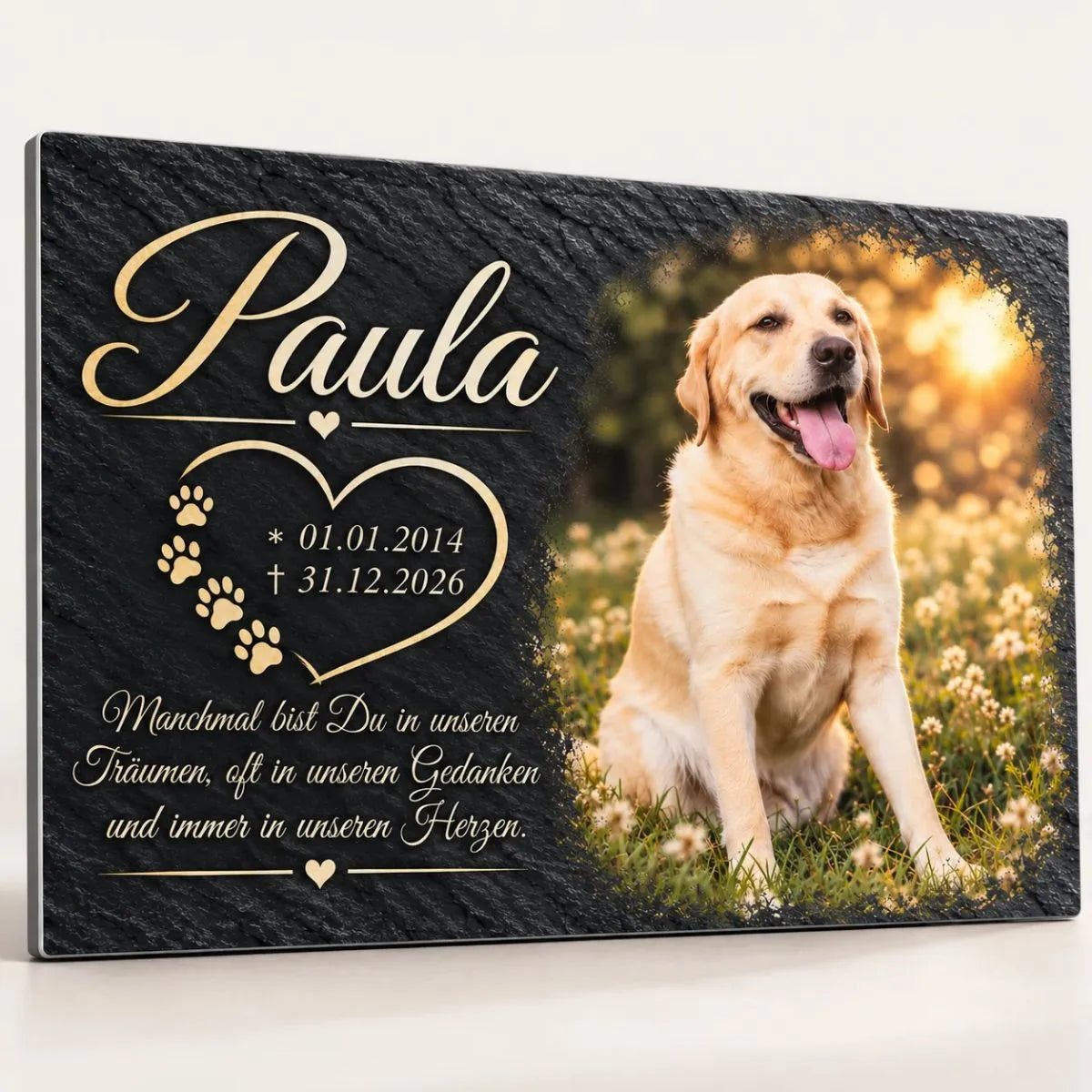 Tiergrabstein in Schiefer-Optik mit Foto eines hellen Labradors, Name, Lebensdaten und Trauerspruch in goldfarbener Schrift, personalisiert aus Alu-Dibond