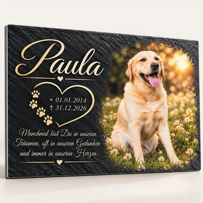 Tiergrabstein in Schiefer-Optik mit Foto eines hellen Labradors, Name, Lebensdaten und Trauerspruch in goldfarbener Schrift, personalisiert aus Alu-Dibond