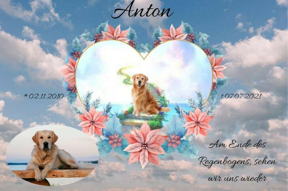 Tiergrabstein als Acrylglasbild mit Regenbogenbrücke und Hundebild im Herz und unten im Rahmen. Tierandenken mit Blumenherz, Hundenamen und Informationen von dem Hund.