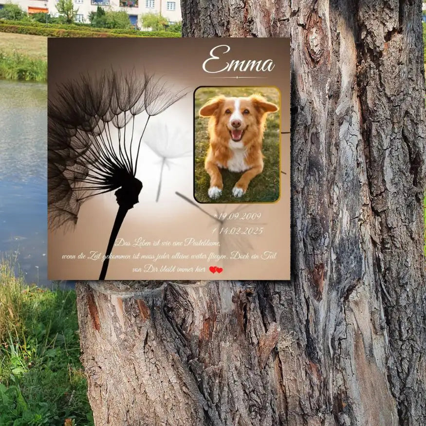 Personalisierter Tiergrabstein mit Pusteblumen-Motiv, Foto & Name – Gedenktafel für Hund am Baum gestellt.