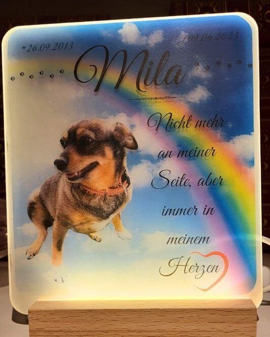 Leuchtbild als Tierlampe mit Hundebild, Trauerzitat, Hundepfoten und Informationen des verstorbenen Hunds. Die personalisierte Bildlampe ist Blau und hat einen Regenbogen.