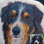 Ein Tierportrait auf einem Marmorstein als Hundeandenken an einen geliebten Hund. Neben dem Gedenkstein steht das ursprüngliche Bild von dem verstorbenen Seelenhund.