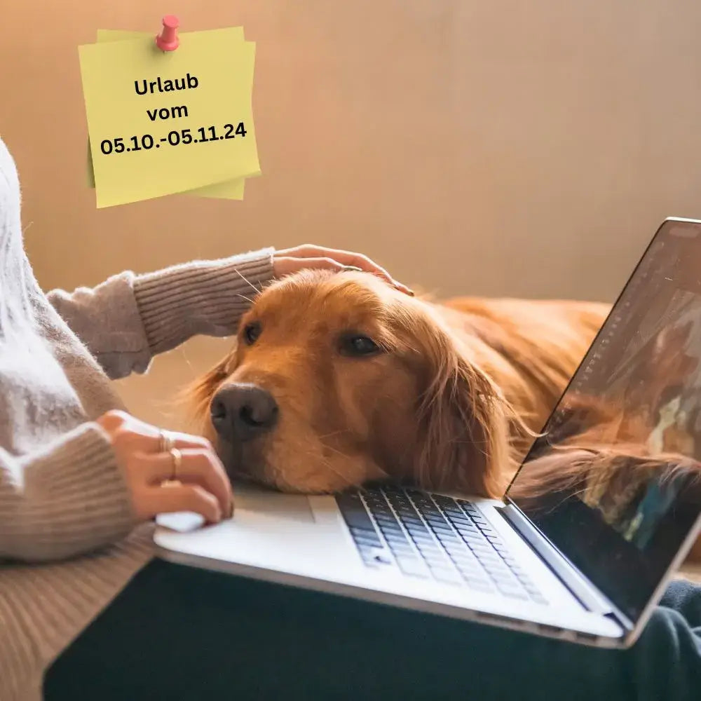 Ein Golden Retriever hat seinen Kopf auf einen Laptop und eine Frauenhand streichelt seinen Kopf. Hinten an der Wand hängt ein Urlaubszettel.