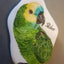 Ein handgemaltes Vogelbild, das einen Papagei als Trauerbild auf einem Marmorstein zeigt. Das Tierporträt des geliebten Seelentiers wurde liebevoll von Hand gemalt.