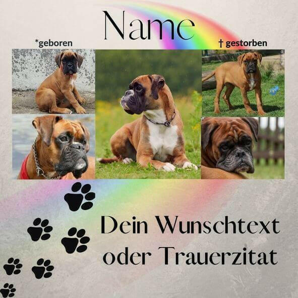 Wandbild mit Hundefotos und Trauerzitat von Regenbogenspuren. Poster als Gedenkbild personalisiert mit Tiernamen, Wunschtext und Informationen deines Haustieres.