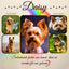 Wandbild für Yorkshire Terrier mit Fotocollage, Regenbogenbrücke und Herzsymbol