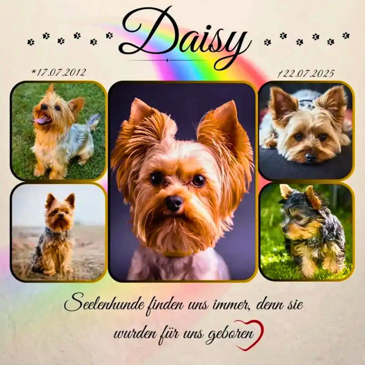 Wandbild für Yorkshire Terrier mit Fotocollage, Regenbogenbrücke und Herzsymbol