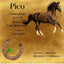 Stall- und Boxenschilder für Pferde und Ponys in Gold mit Pferdefotos, Besitzerdaten und Pferddetails.