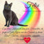 Grabstein für Katzen mit einem Katzenportrait, einem Regenbogen, einem Wunschtext und dem Tiernamen.