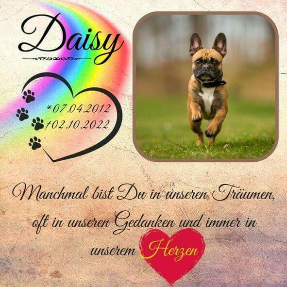 Personalisierter Tiergrabstein aus Alu-Dibond eines Hundes mit Pfotenspuren, Regenbogen, dem Tiernamen und Trauerzitat. 
