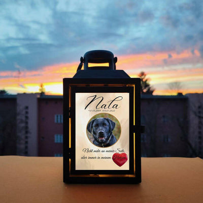 Grablaterne mit Hundeporträt und im Hintergrund ist ein Sonnenuntergang. Grablicht mit Trauerzitat und Informationen von deinem Hund.